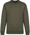 NS440 Native Spirit Unisex Oversized Sweatshirt organic khaki colour image